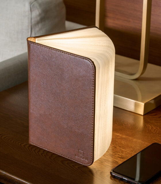 Gingko Smart Book Light (Pelle)